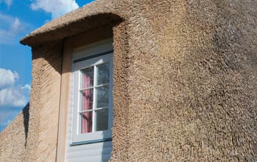 Clune thatch roof disadvantages